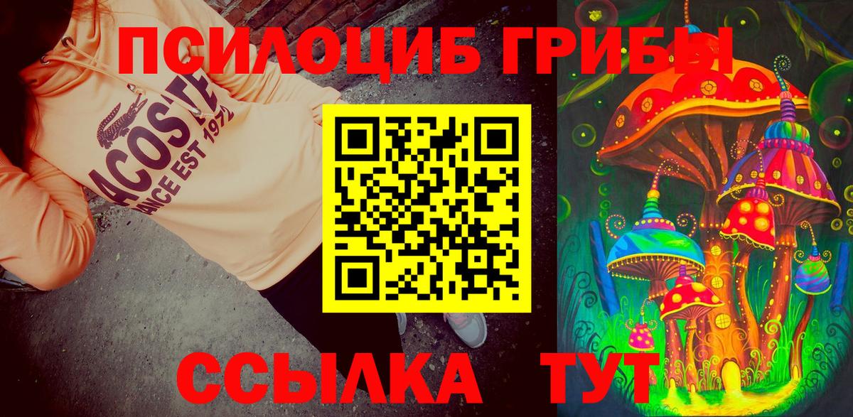 Галлюциногенные грибы GOLDEN TEACHER Армавир